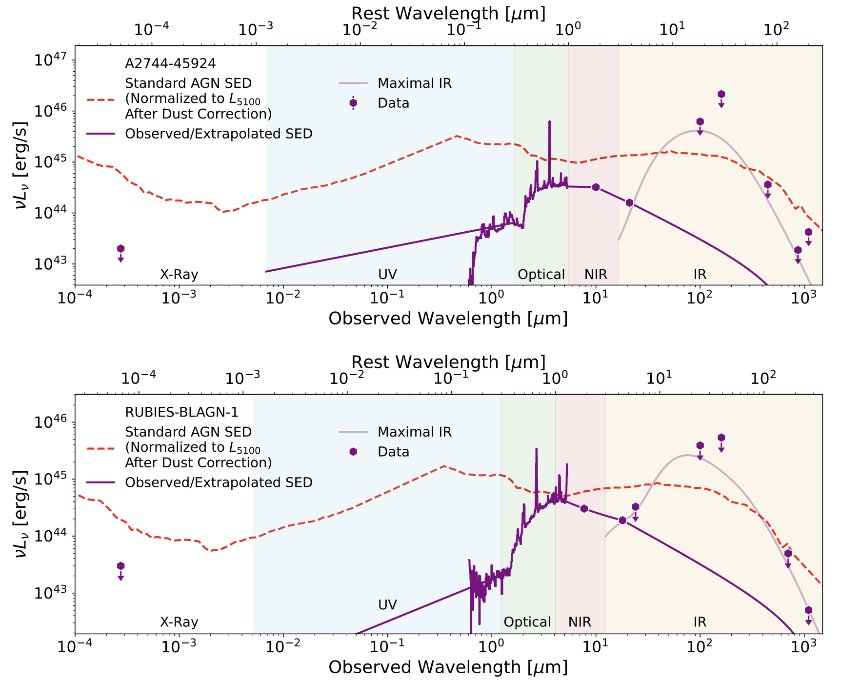 Panchromatic SEDs of Little Red Dots